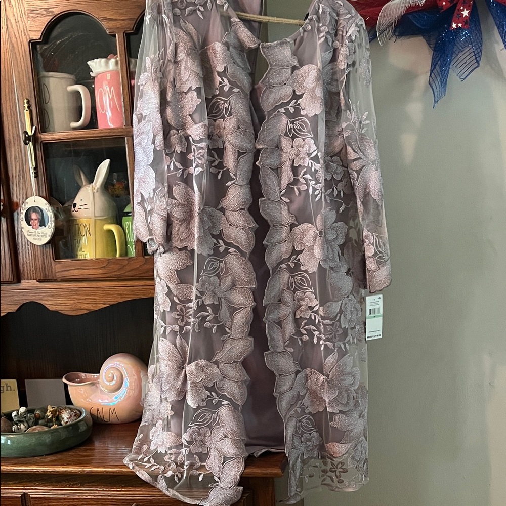 Alex Evenings Sheer Dress with Floral Embroidery